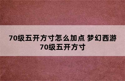 70级五开方寸怎么加点 梦幻西游70级五开方寸